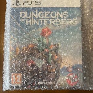 Dungeons of Hinterberg PS5 Game - Blue/Green Cover Art